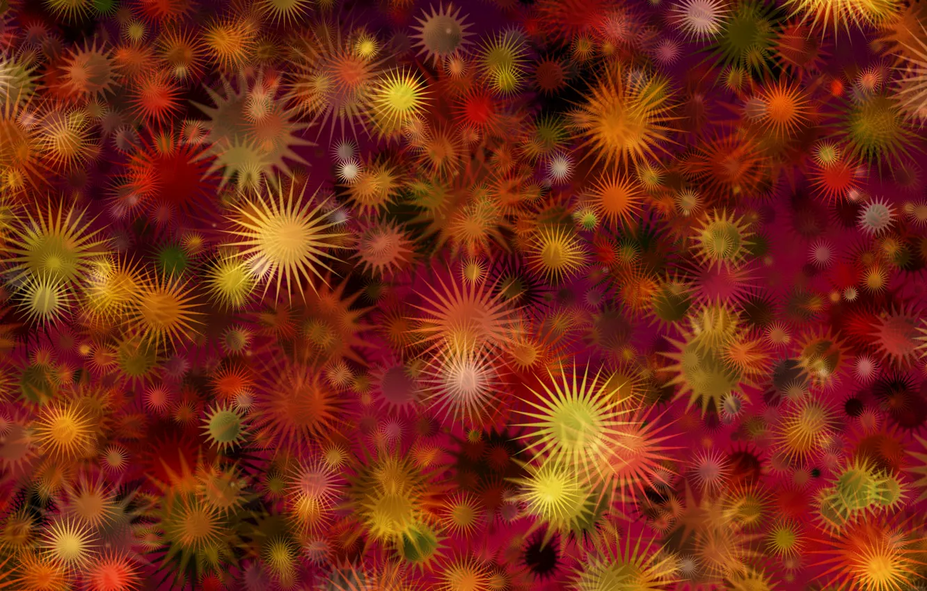 Photo wallpaper holiday, stars, postcard, template