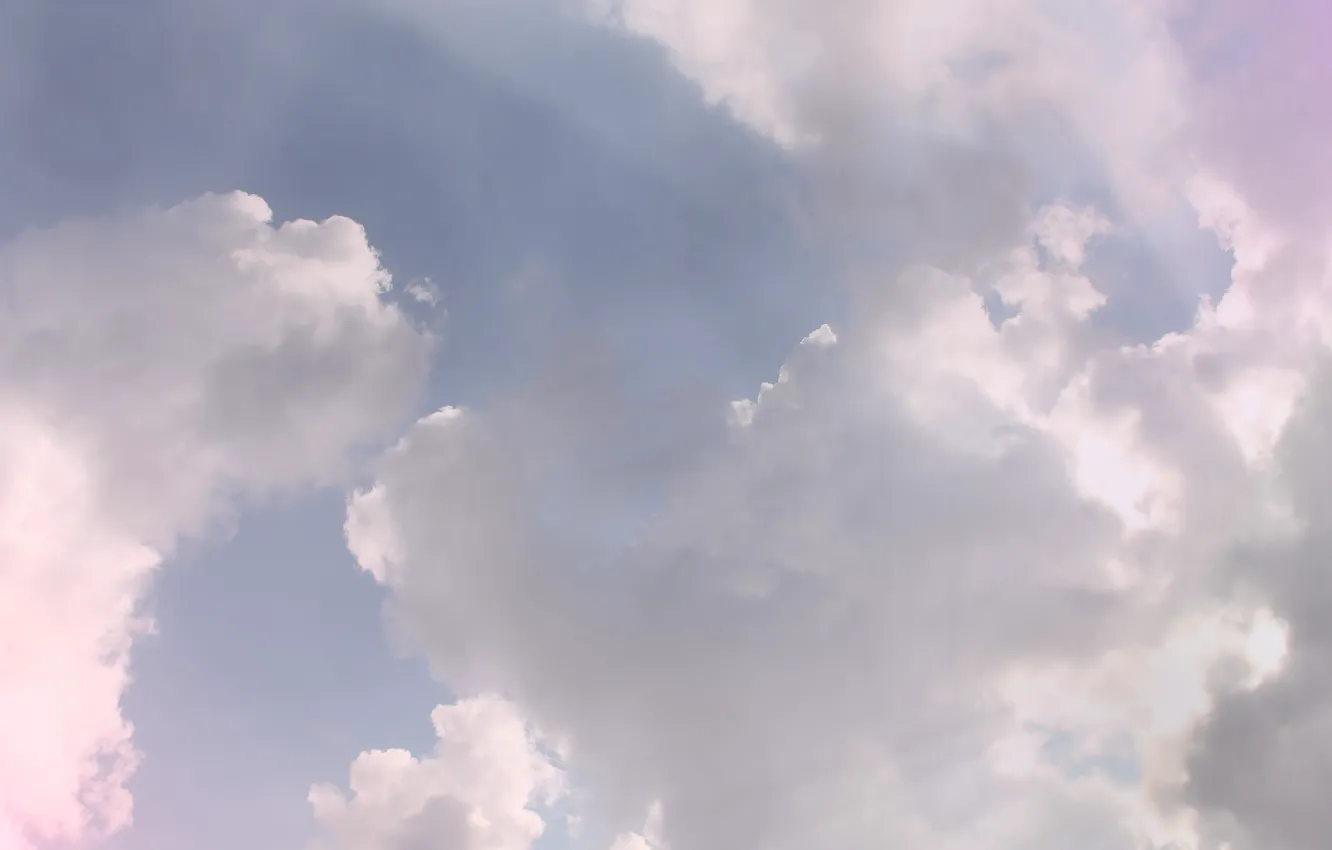 Photo wallpaper light, love, happiness, life, beauty, shower, weasel, the sun