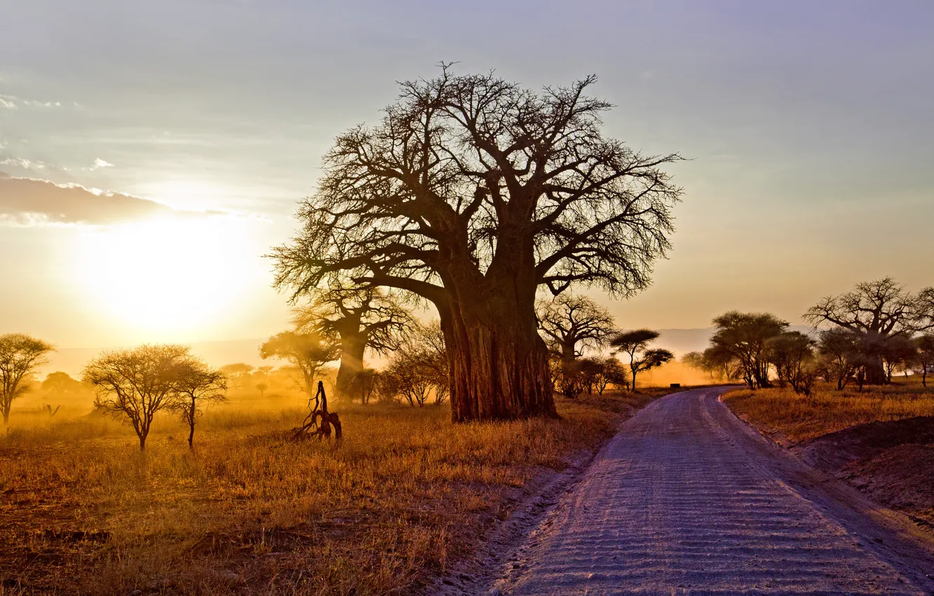 Photo wallpaper road, landscape, morning, Africa