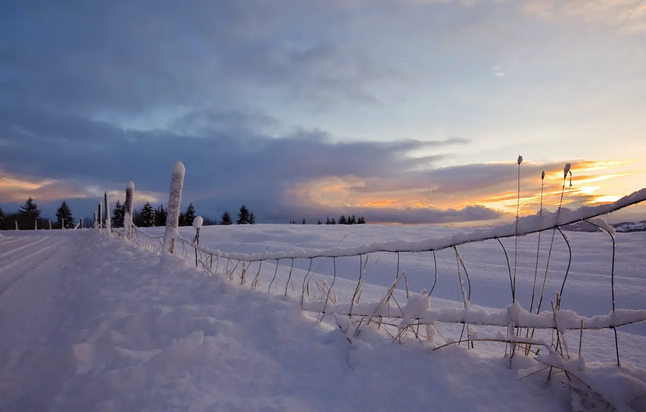 Photo wallpaper road, snow, sunset, the fence