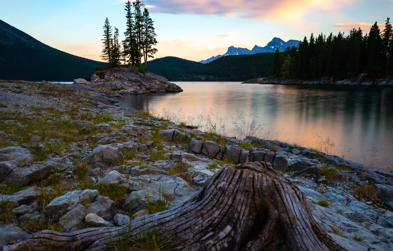 Photo wallpaper forest, landscape, mountains, nature, lake, stones, shore, tops