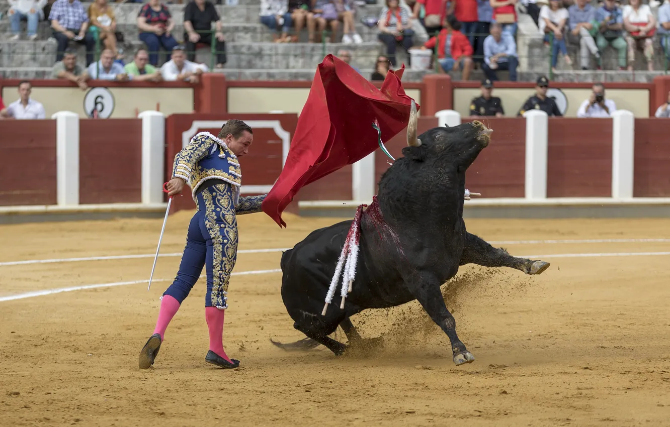 Photo wallpaper arena, bull, Matador