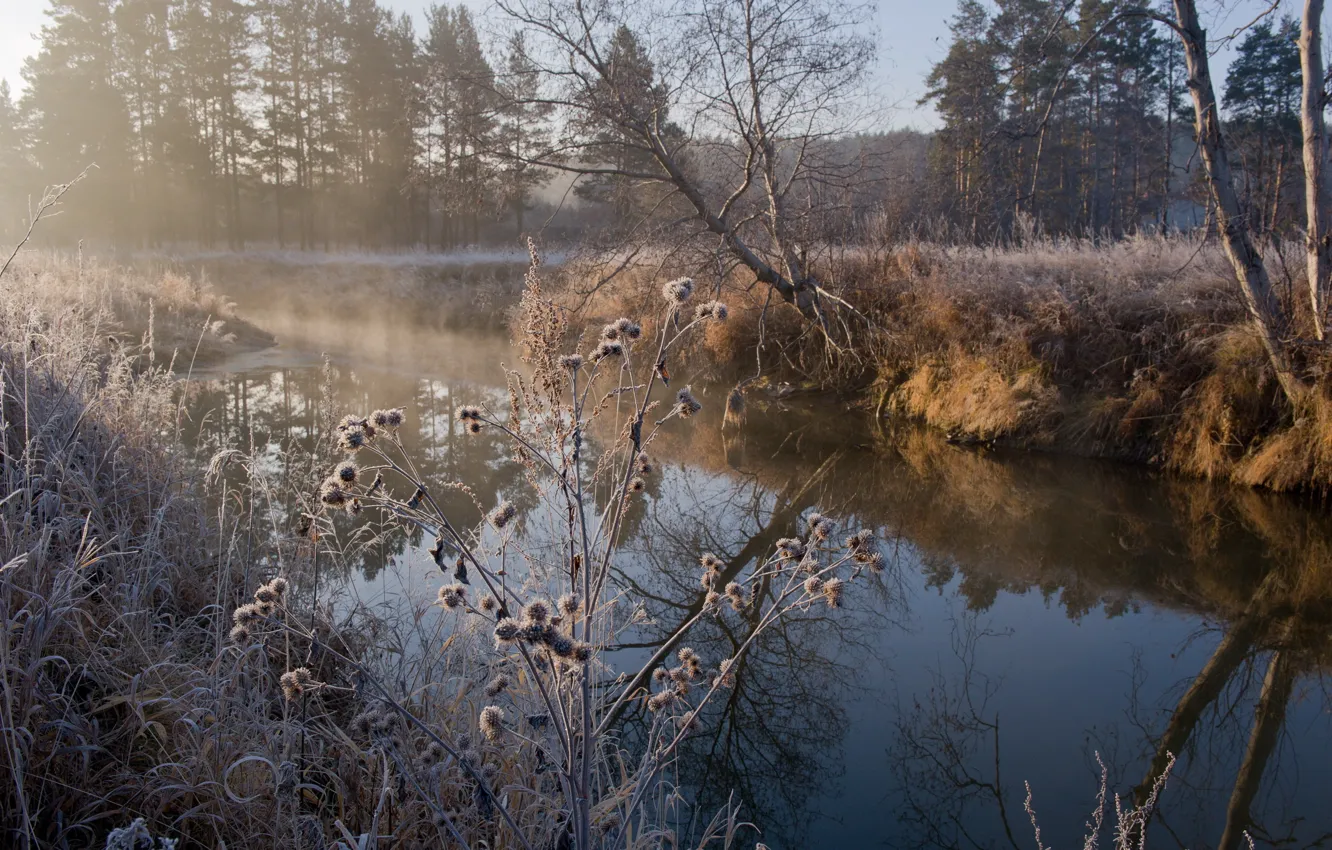 Photo wallpaper frost, autumn, grass, river