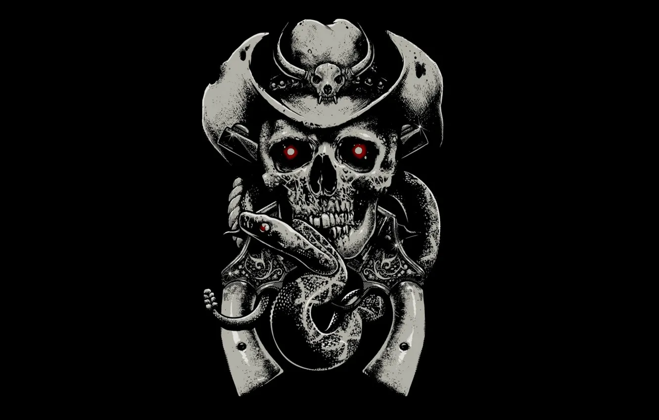 Photo wallpaper background, fear, skull, snake, hat, sake, revolver