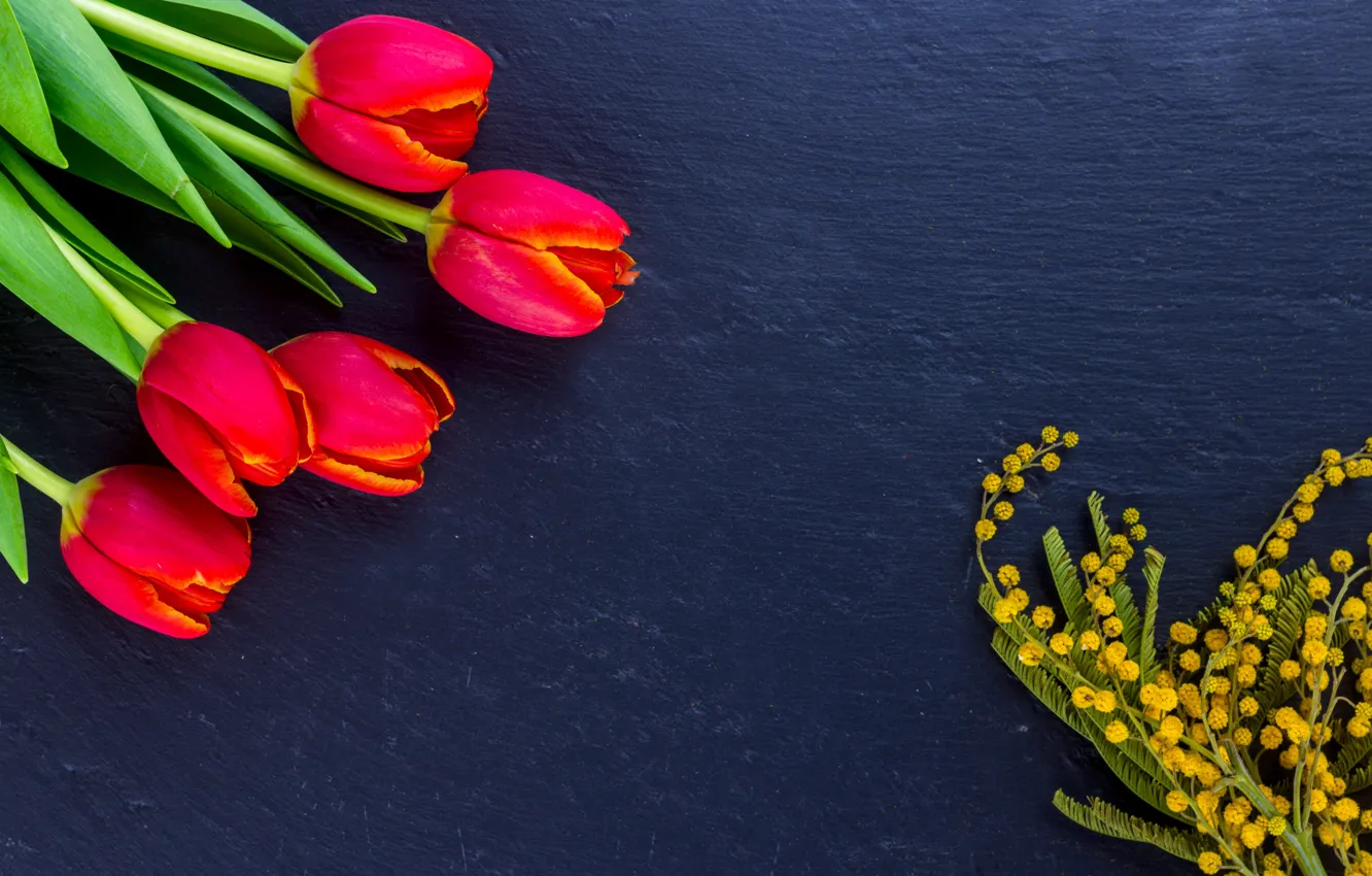 Photo wallpaper bouquet, tulips, Mimosa