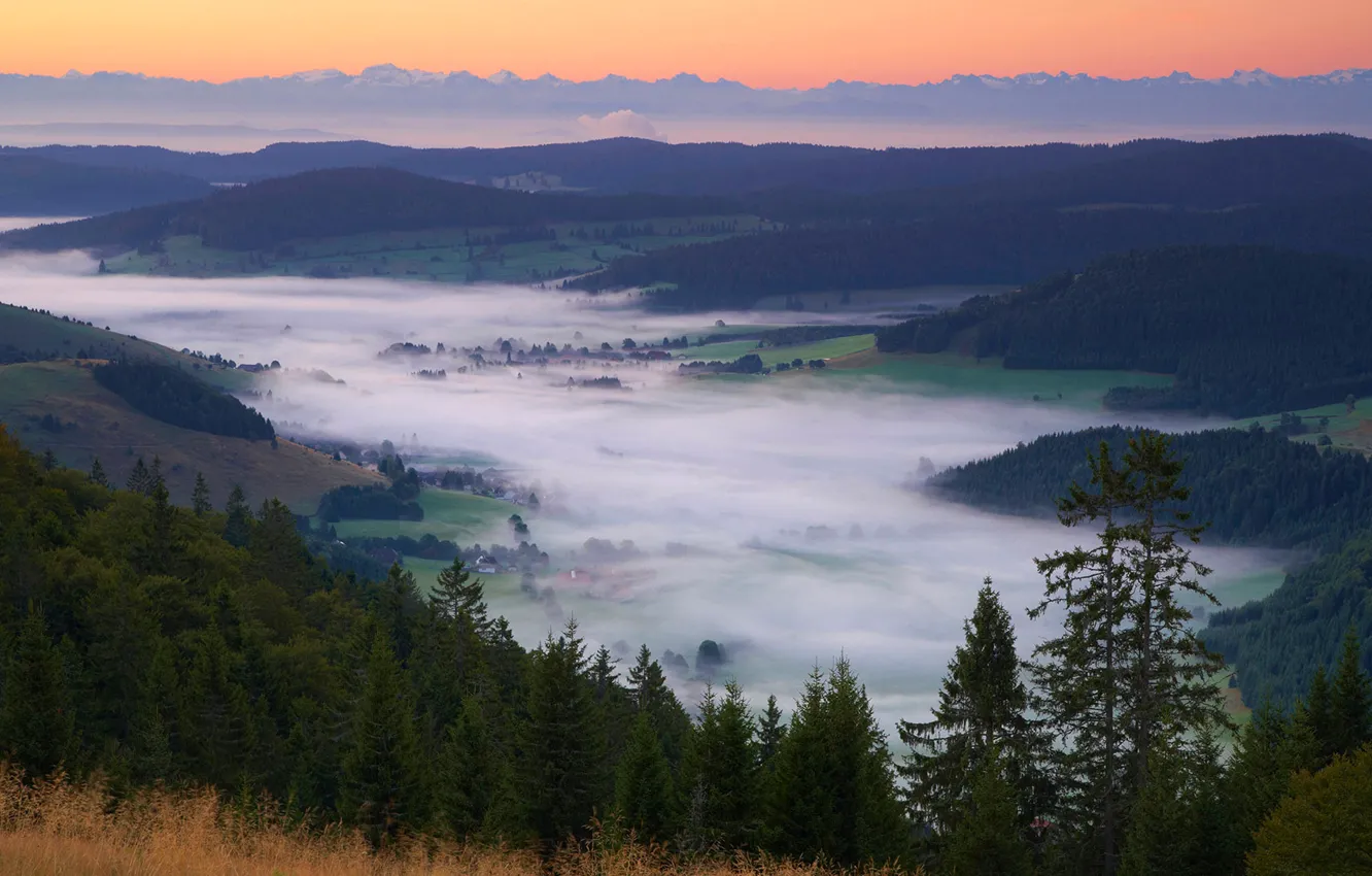 Photo wallpaper trees, mountains, fog, valley, Alps