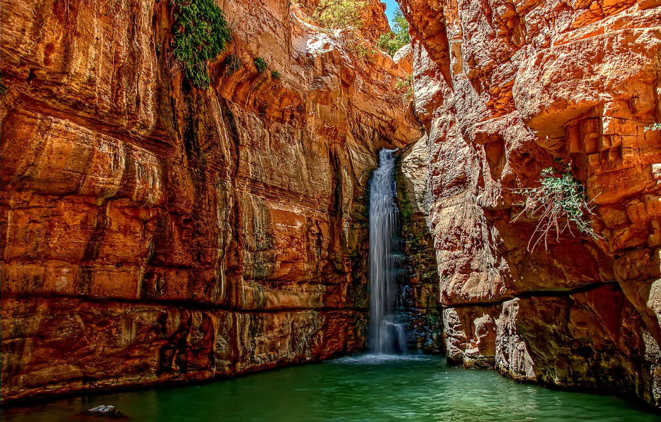 Photo wallpaper water, rocks, waterfall, stream, gorge, Israel