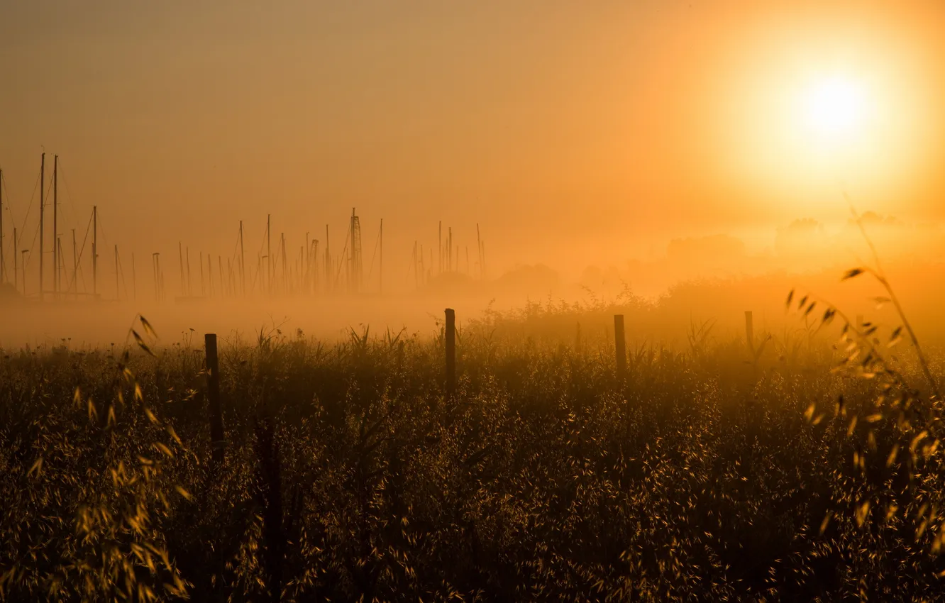 Photo wallpaper field, night, fog