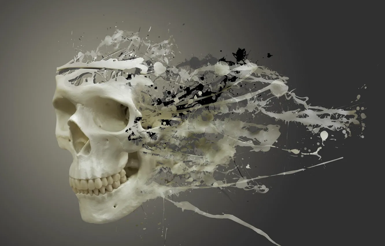 Photo wallpaper background, skull, divorce, blots, sake