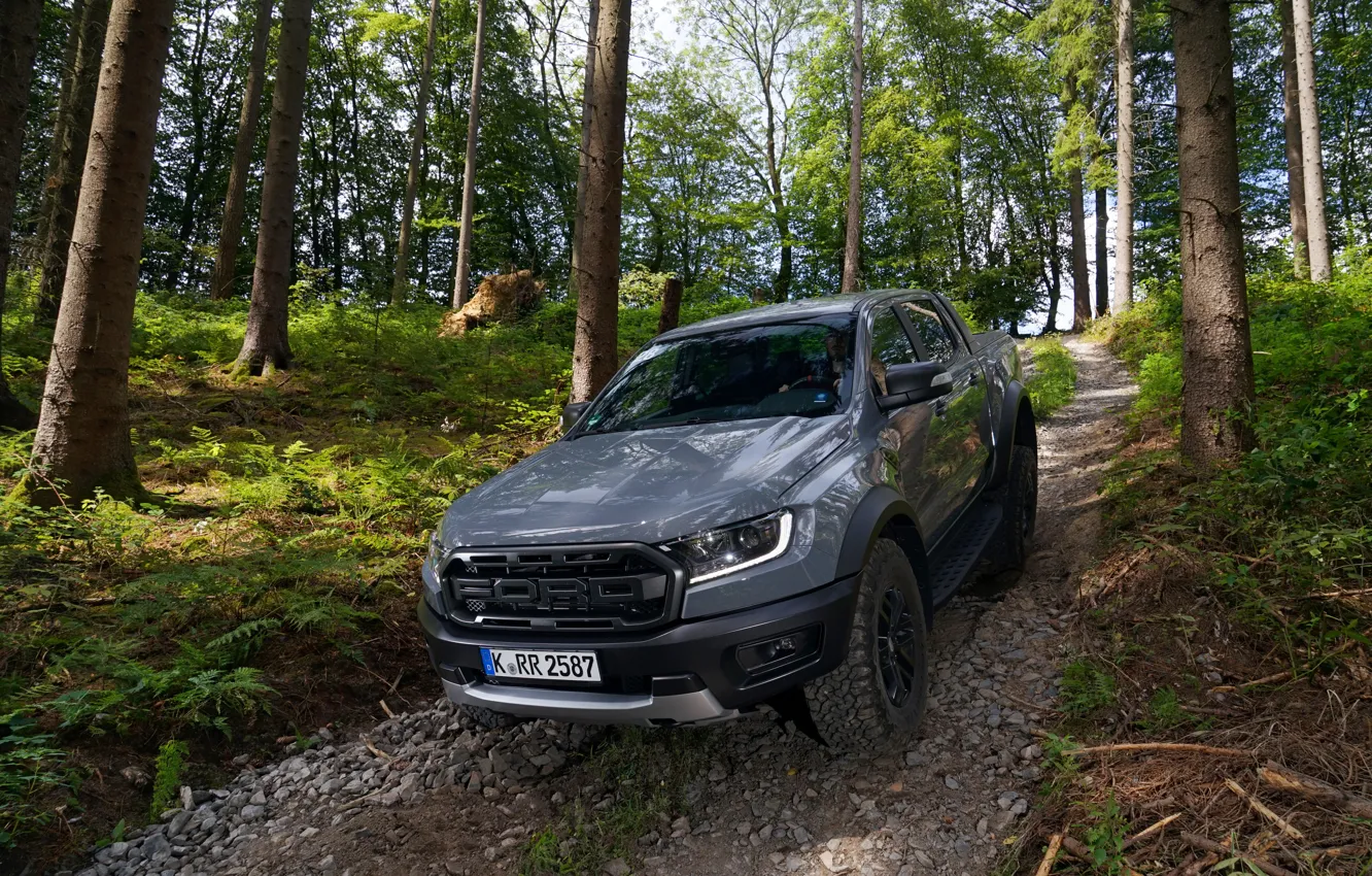 Photo wallpaper forest, trees, grey, Ford, slope, Raptor, pickup, Ranger