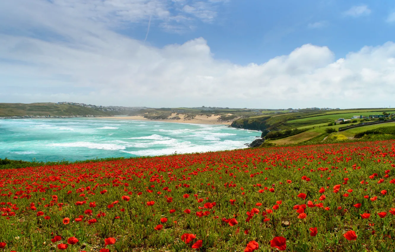 Photo wallpaper flowers, surf, shore, blue, sea, wave, poppy field, meadow