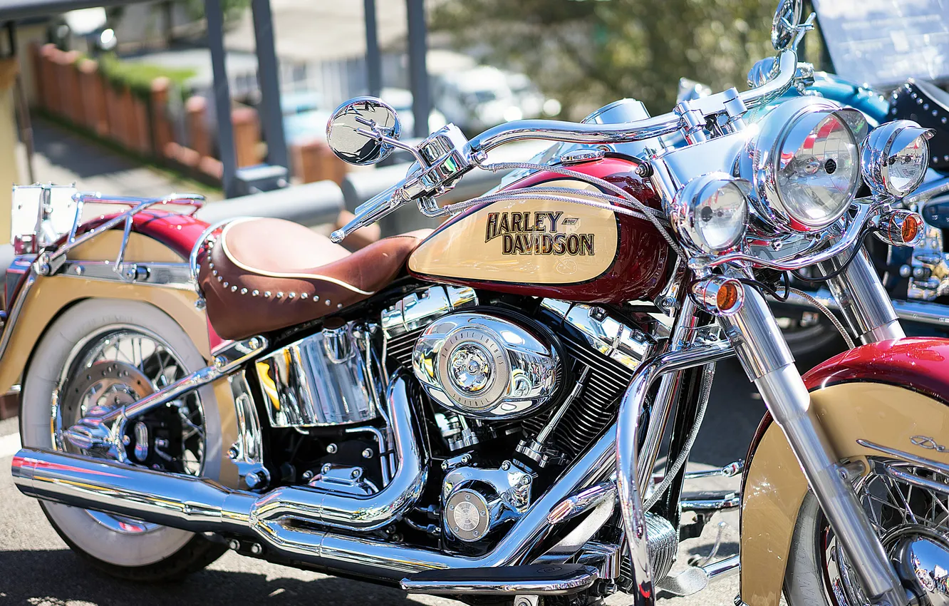 Photo wallpaper motorcycle, Harley Davidson, bike