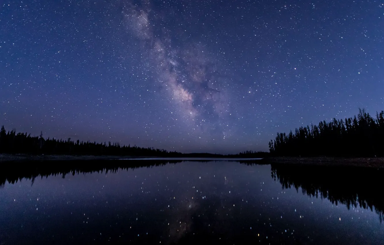 Photo wallpaper forest, the sky, stars, night, river, the milky way