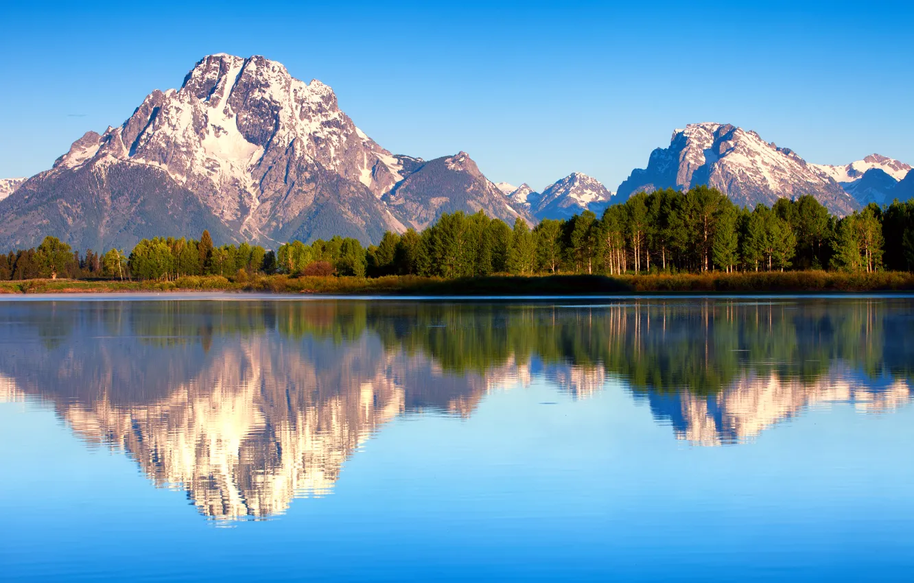 Photo wallpaper forest, summer, reflection, nature, morning, USA, Wyoming, Grand Teton national Park