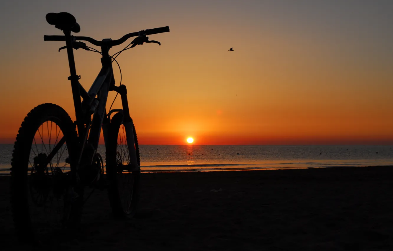 Photo wallpaper sea, beach, sunset, bike, the evening
