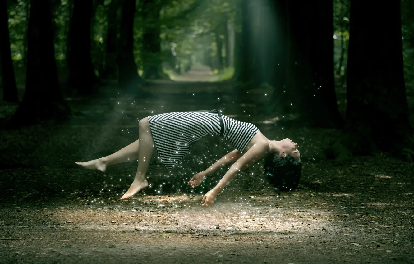 Photo wallpaper forest, girl, trees, sparks, levitation