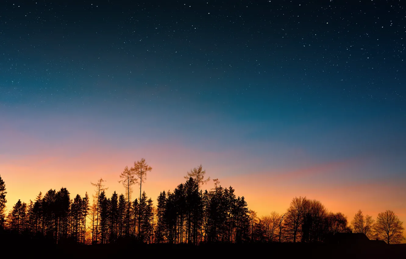 Photo wallpaper Sunset, The sky, Nature, The evening, Stars, Trees, Silhouette, Landscape