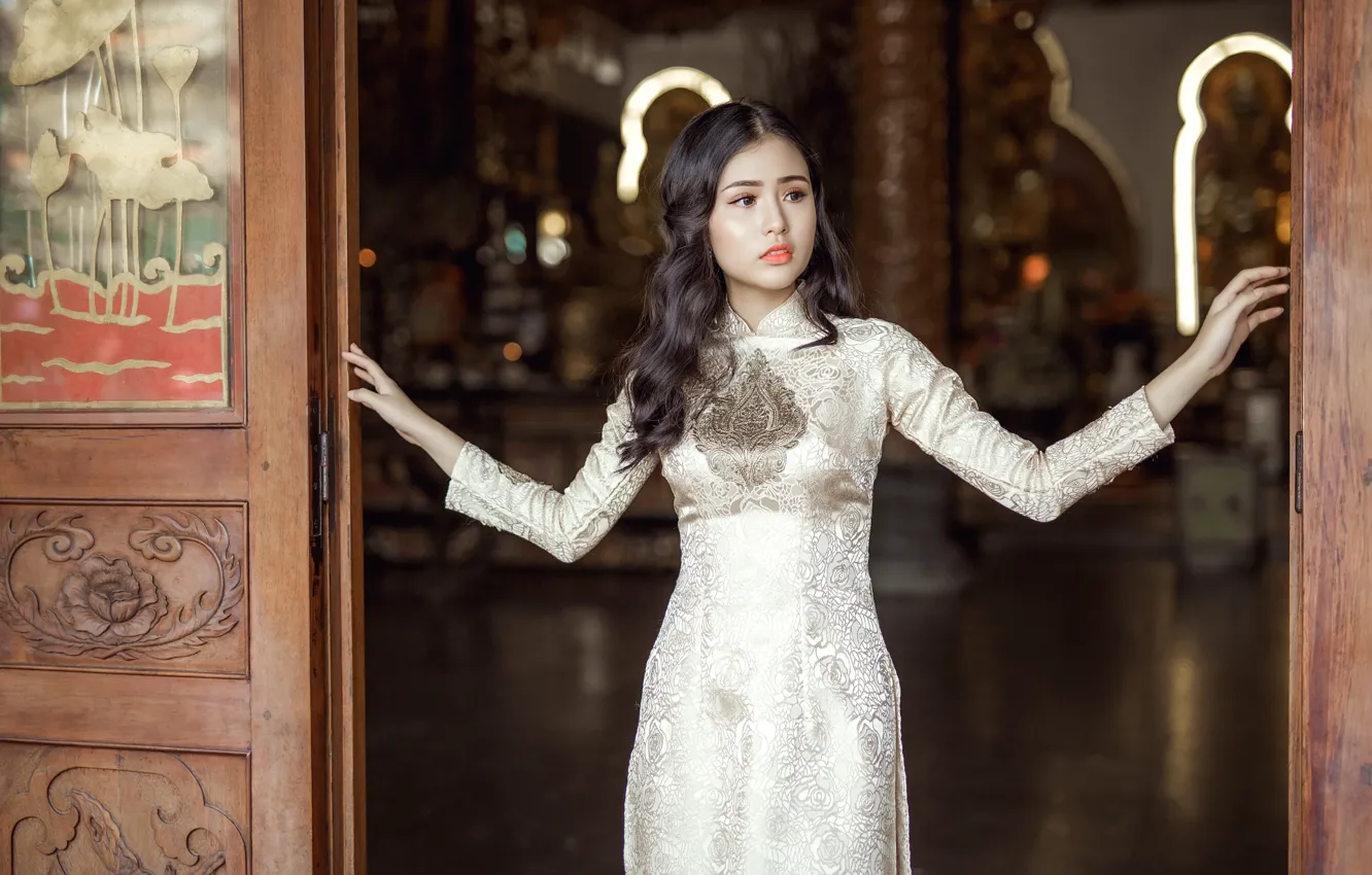 Photo wallpaper girl, face, hair, dress, Asian