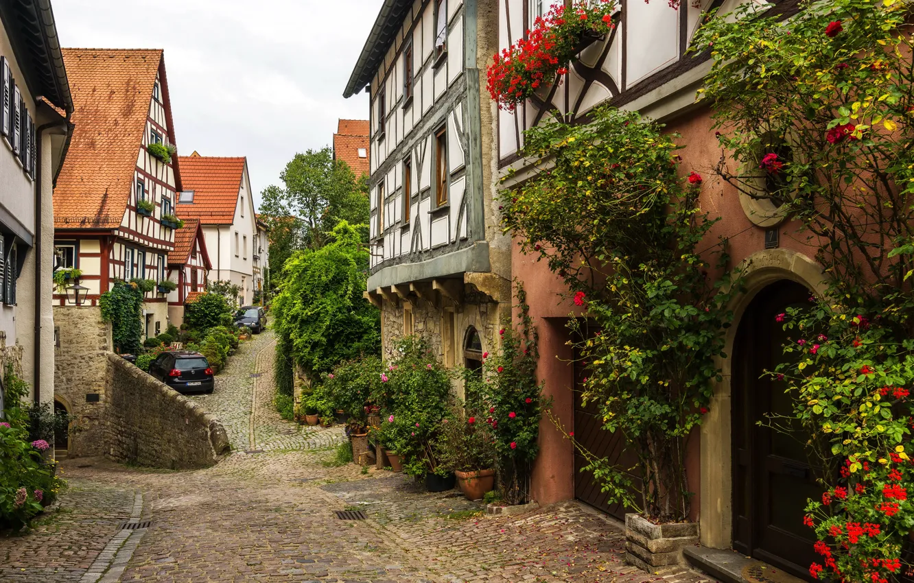 Photo wallpaper machine, trees, flowers, home, Germany, the bushes, street, Wimpfen