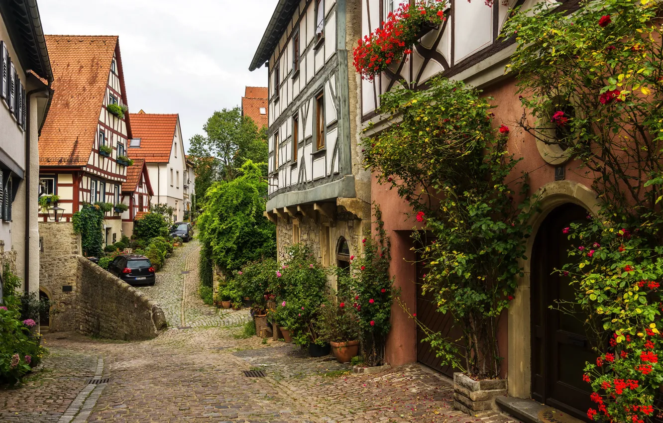 Photo wallpaper trees, flowers, machine, home, Germany, the bushes, street, Wimpfen