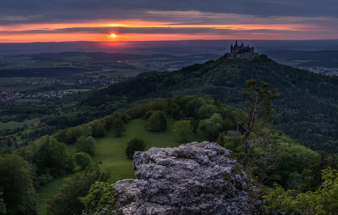 Photo wallpaper forest, summer, the sky, the sun, clouds, trees, sunset, clouds