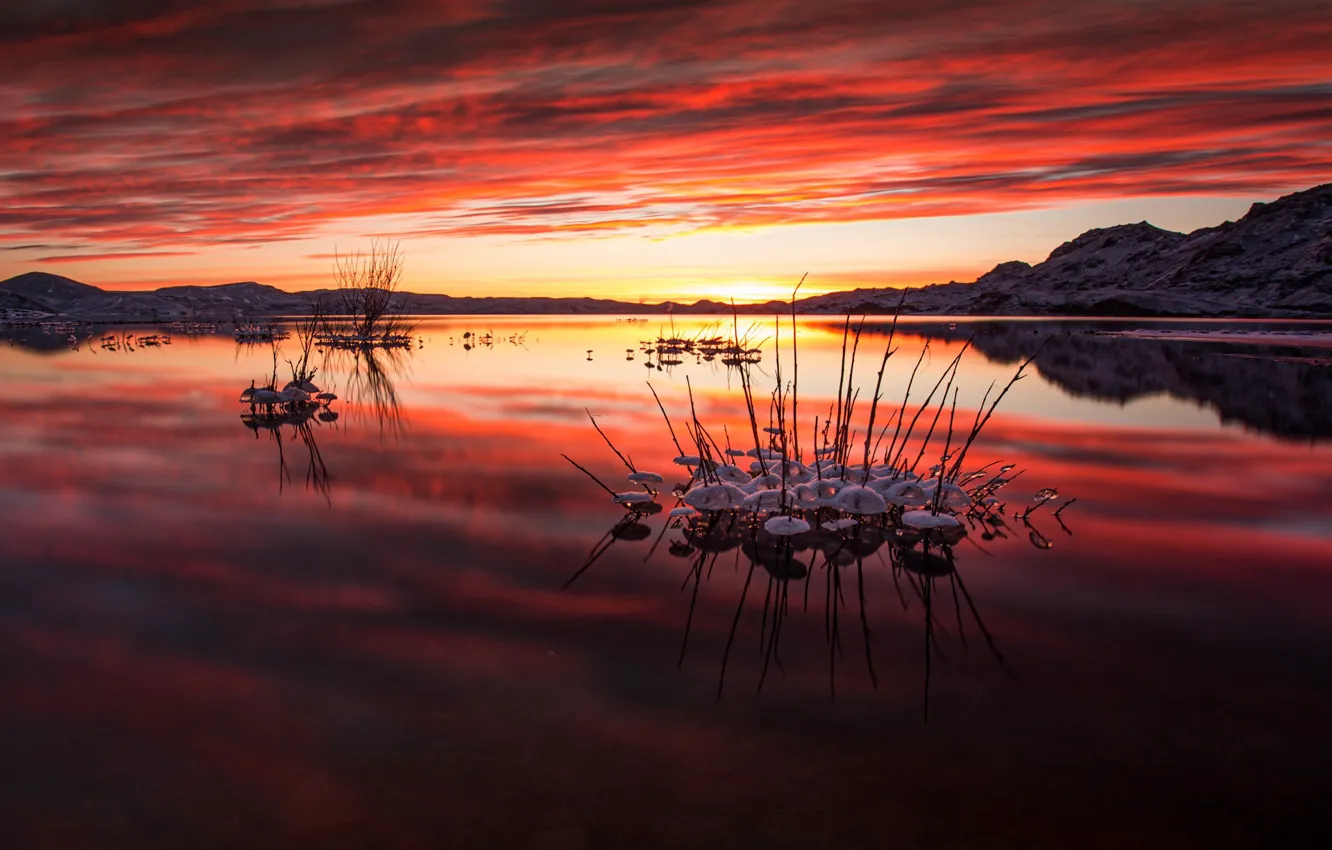 Photo wallpaper sunset, night, lake