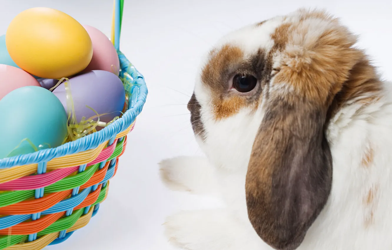 Photo wallpaper rabbit, Easter, basket with eggs