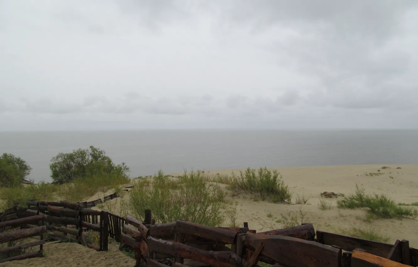 Photo wallpaper sand, sea, the sky, clouds, trees, rain, fence, dunes