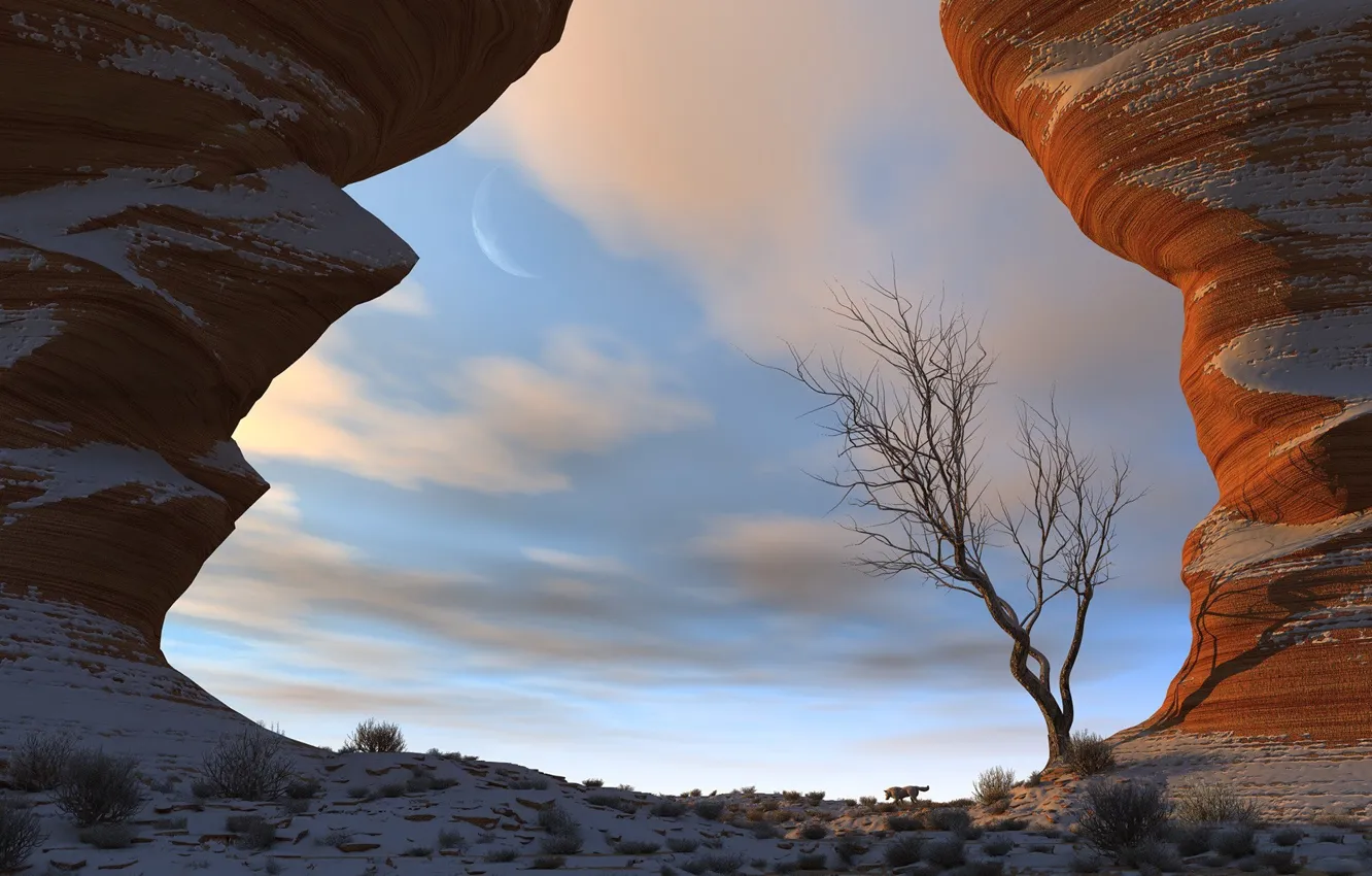 Photo wallpaper the sky, clouds, trees, nature, rocks, the moon