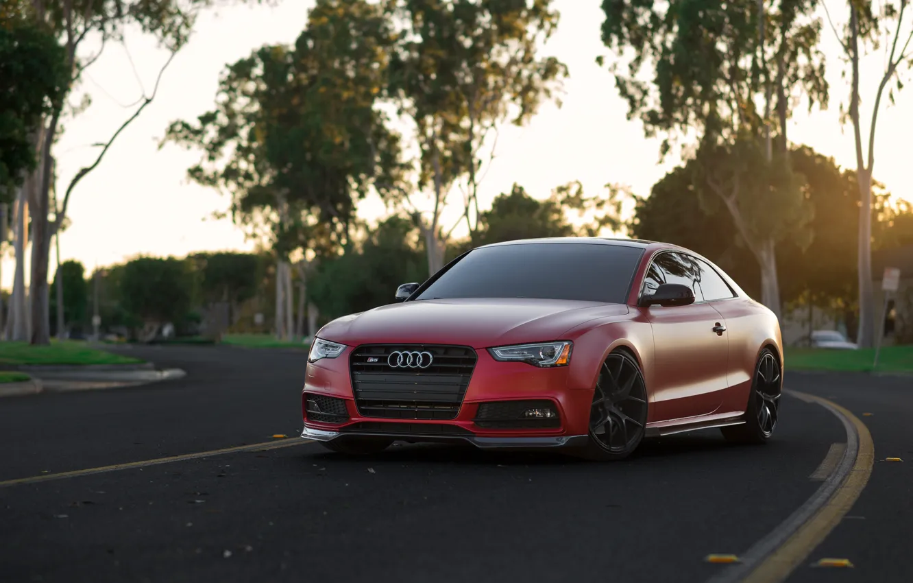 Photo wallpaper Audi, Red, Matte, Build