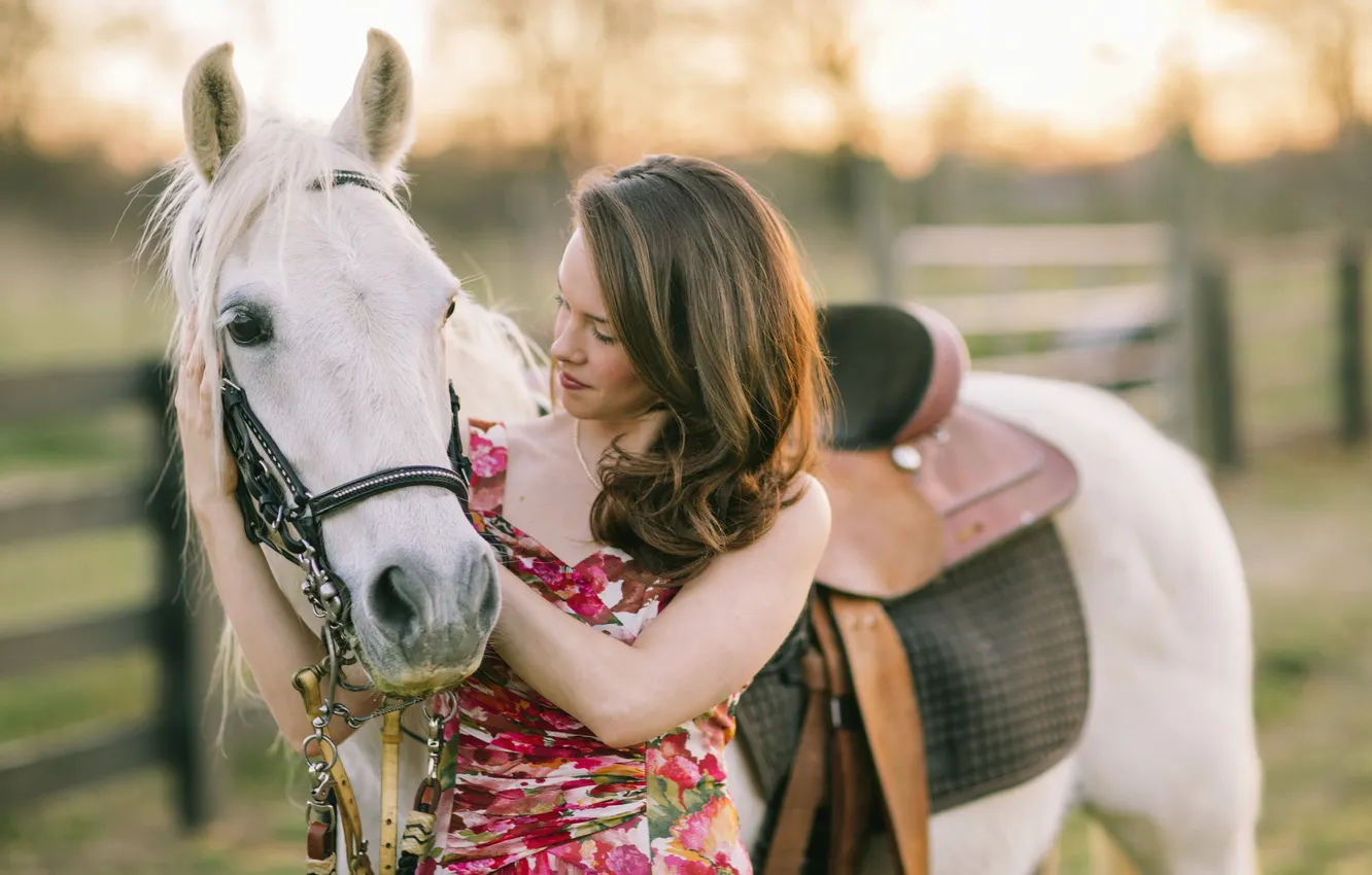 Photo wallpaper girl, mood, horse
