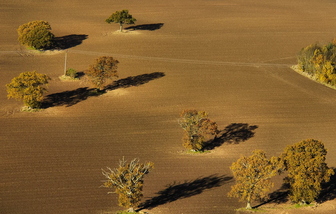 Photo wallpaper field, trees, nature, arable land