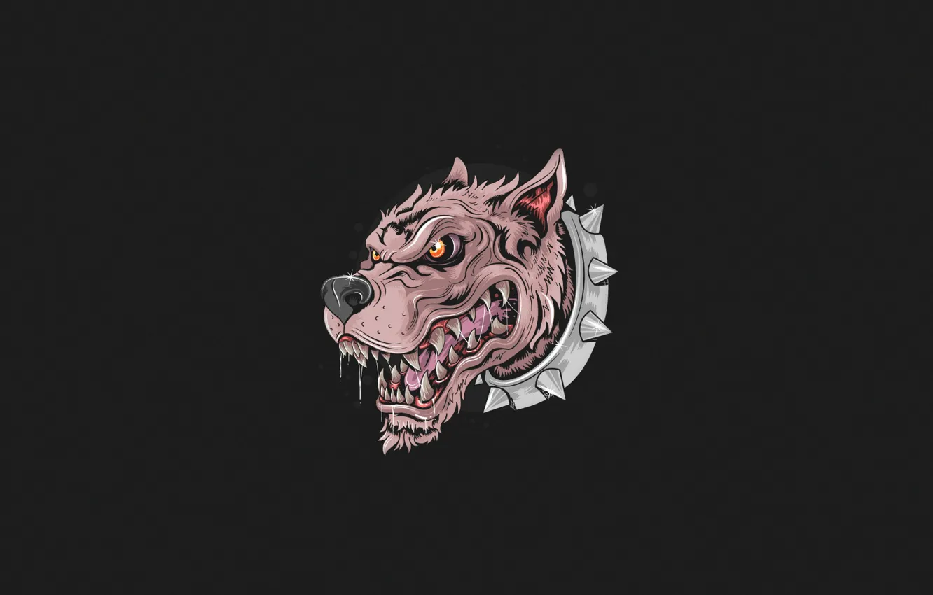 Photo wallpaper face, style, background, jaw, dog, minimalism, art, grin