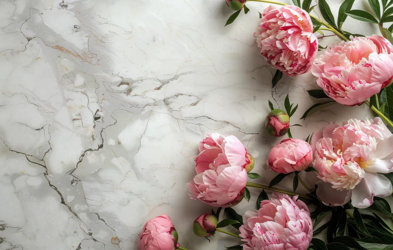Photo wallpaper flowers, stones, bouquet, spring, pink, marble, grey background, light background