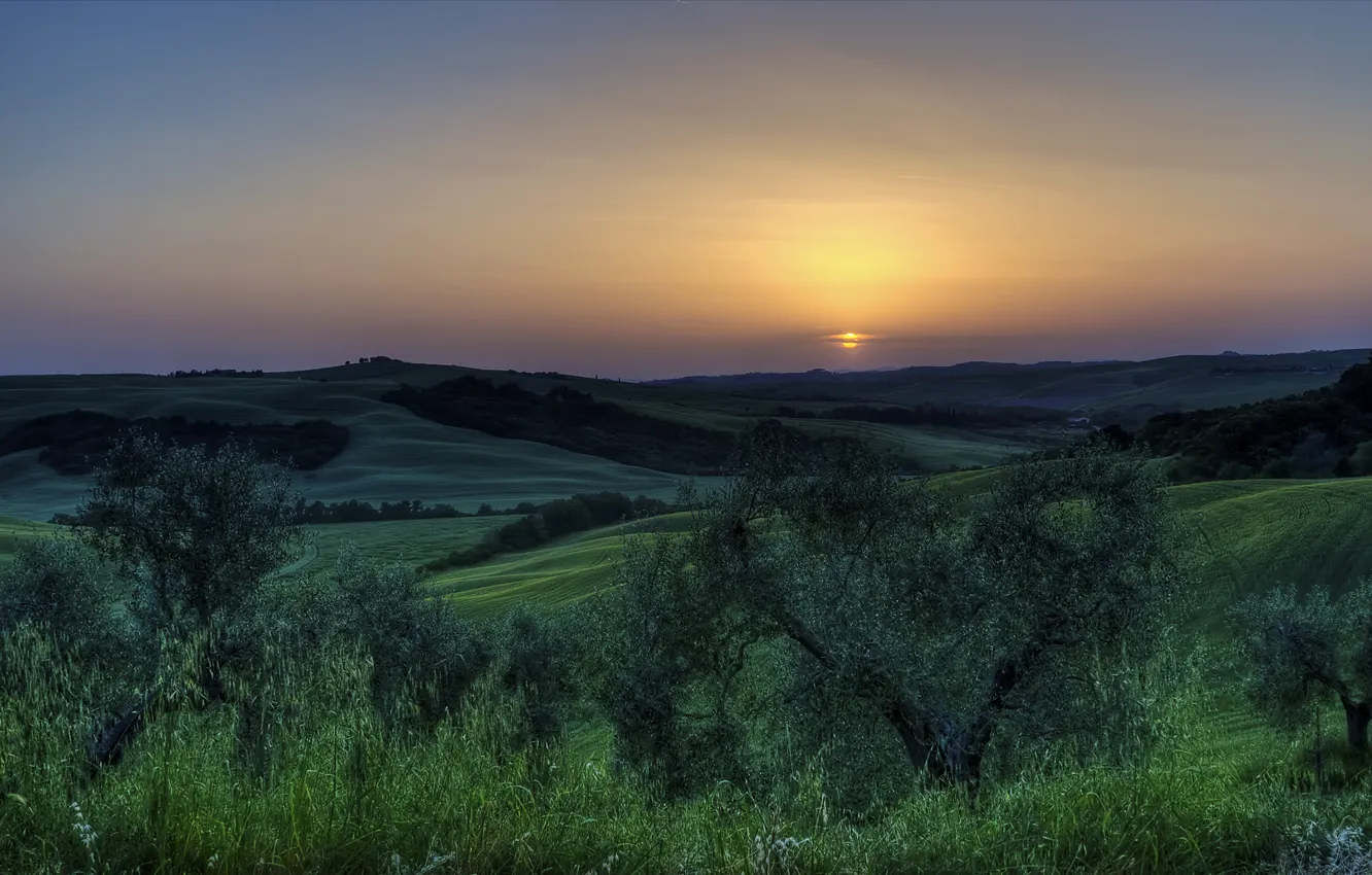Photo wallpaper the sun, trees, sunset, Italy