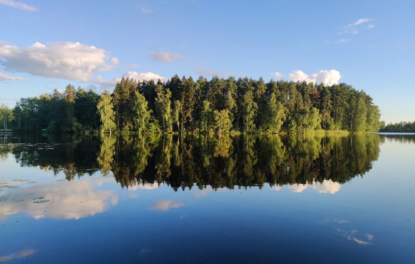 Photo wallpaper summer, nature, green, village, onion lake