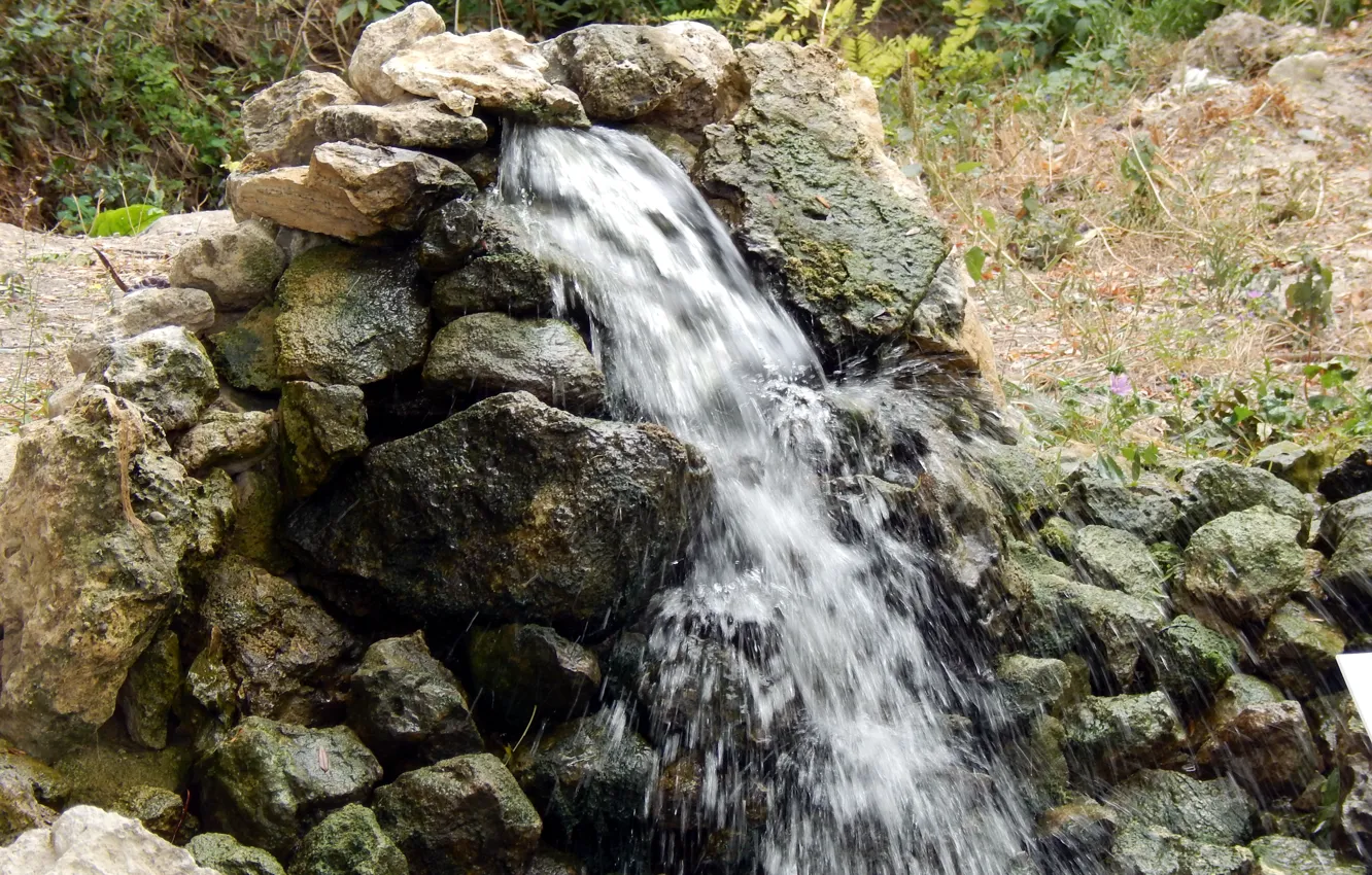 Photo wallpaper Park, Crimea, ministop