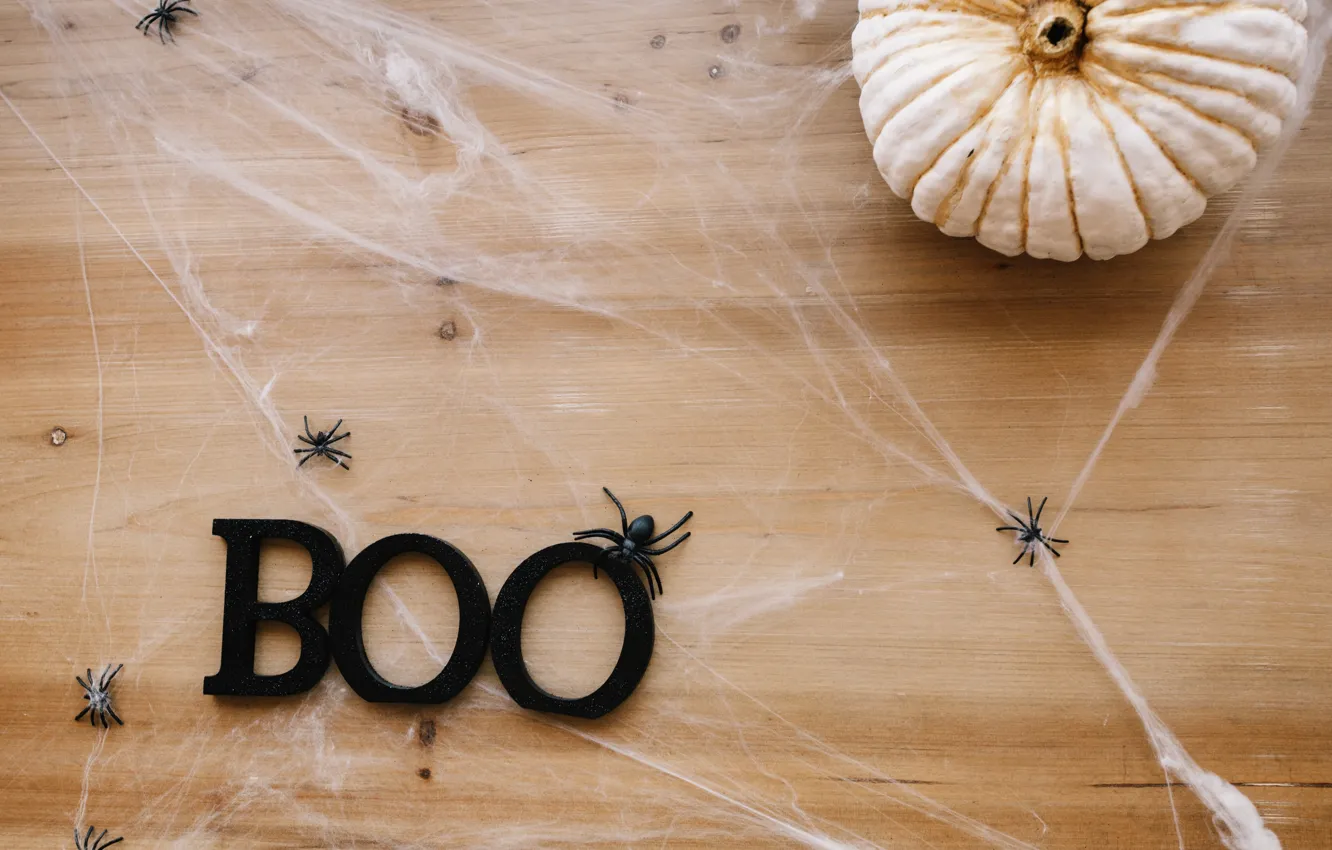 Photo wallpaper holiday, web, spider, pumpkin, Halloween