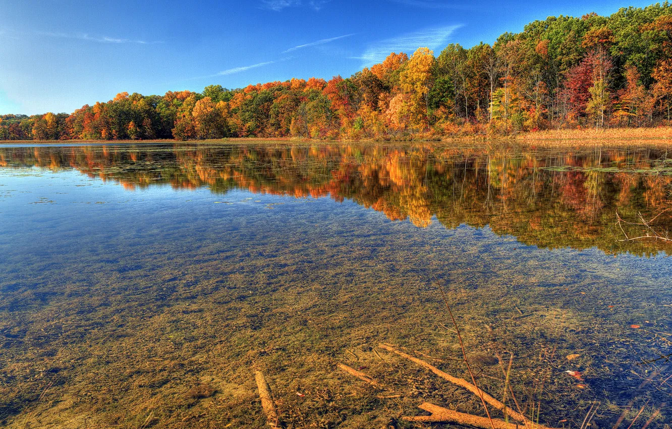 Photo wallpaper autumn, transparency, nature, river