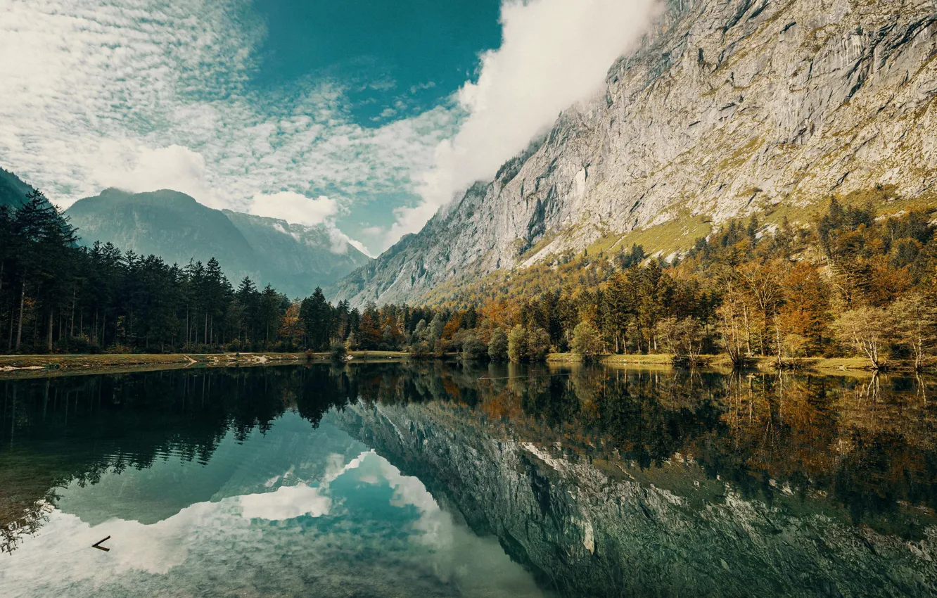Photo wallpaper sky, trees, sea, nature, wood, water, clouds, mountain