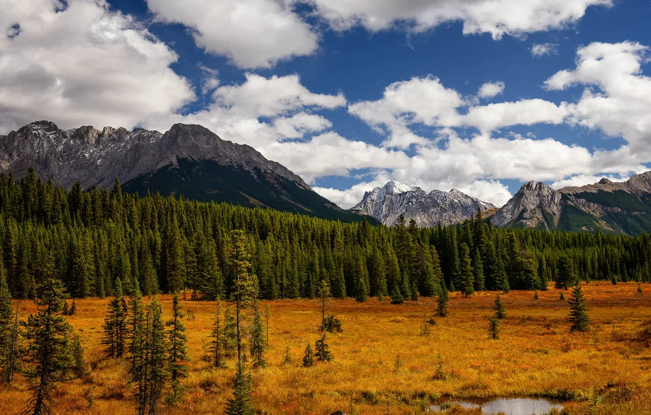 Photo wallpaper autumn, forest, clouds, mountains, Alberta, Canada, Peter Lougheed Provincial Park
