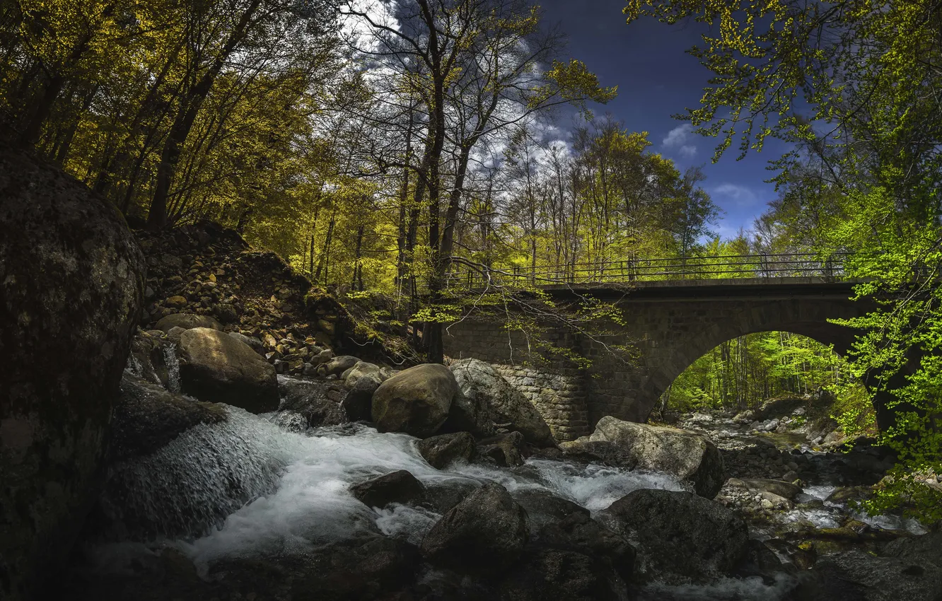 Photo wallpaper forest, the sky, clouds, trees, bridge, river, rocks, waterfall