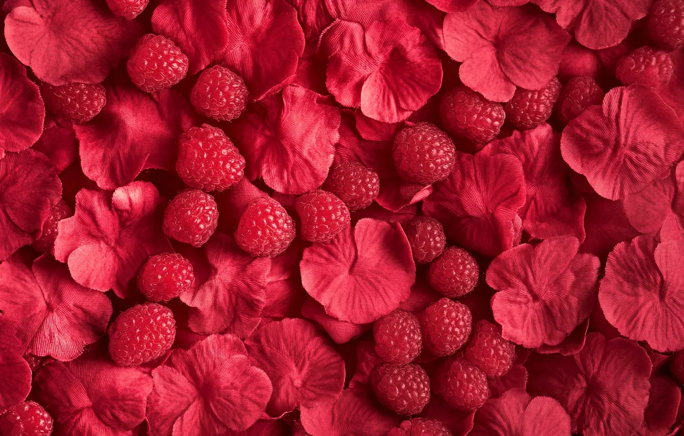 Photo wallpaper flowers, red, berries, raspberry, petals, placer, AI art, neural network