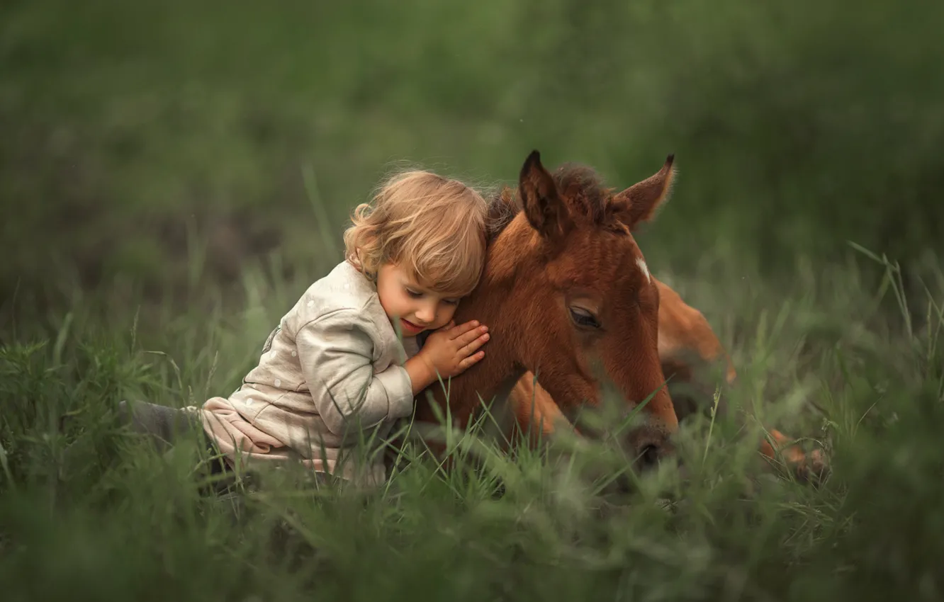 Photo wallpaper grass, boy, foal