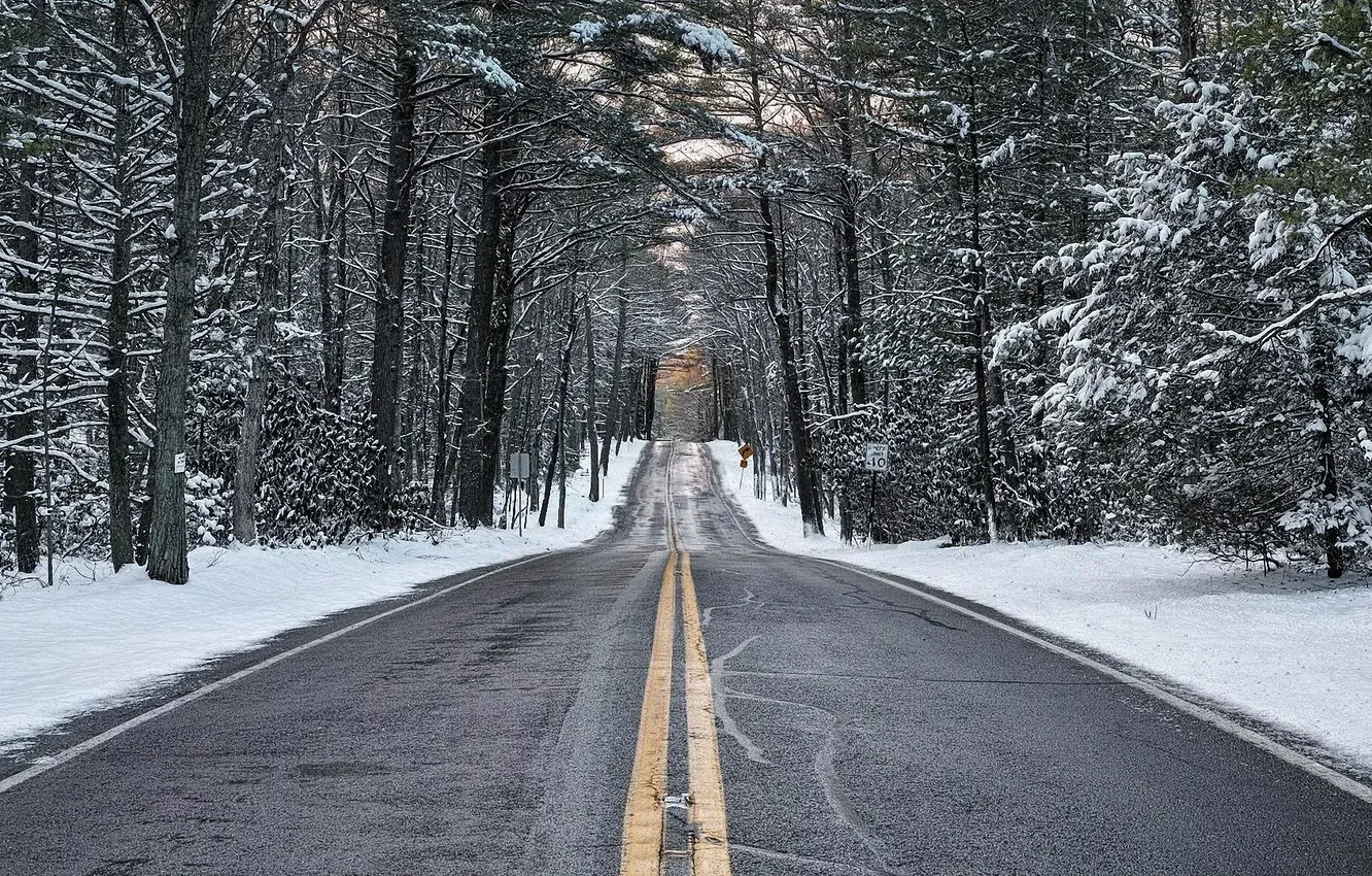 Photo wallpaper winter, road, forest, asphalt, snow, trees, landscape, nature