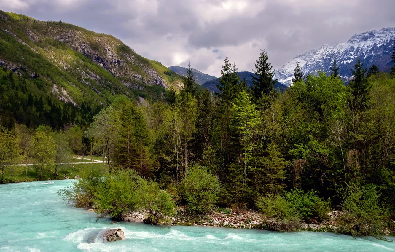 Photo wallpaper forest, trees, mountains, river, stones, for, Slovenia, Bovec