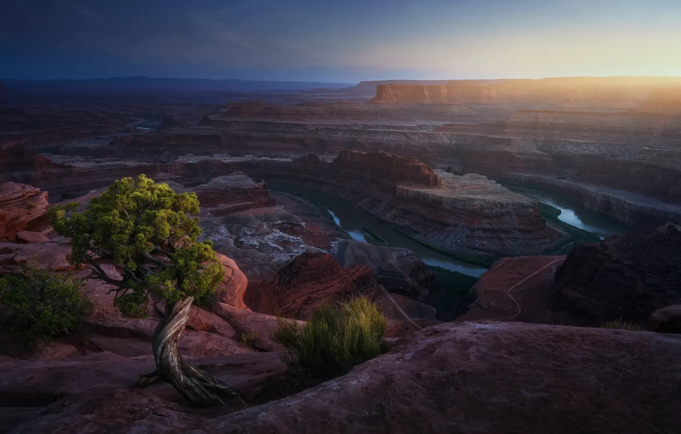 Photo wallpaper river, tree, rocks, canyon, USA