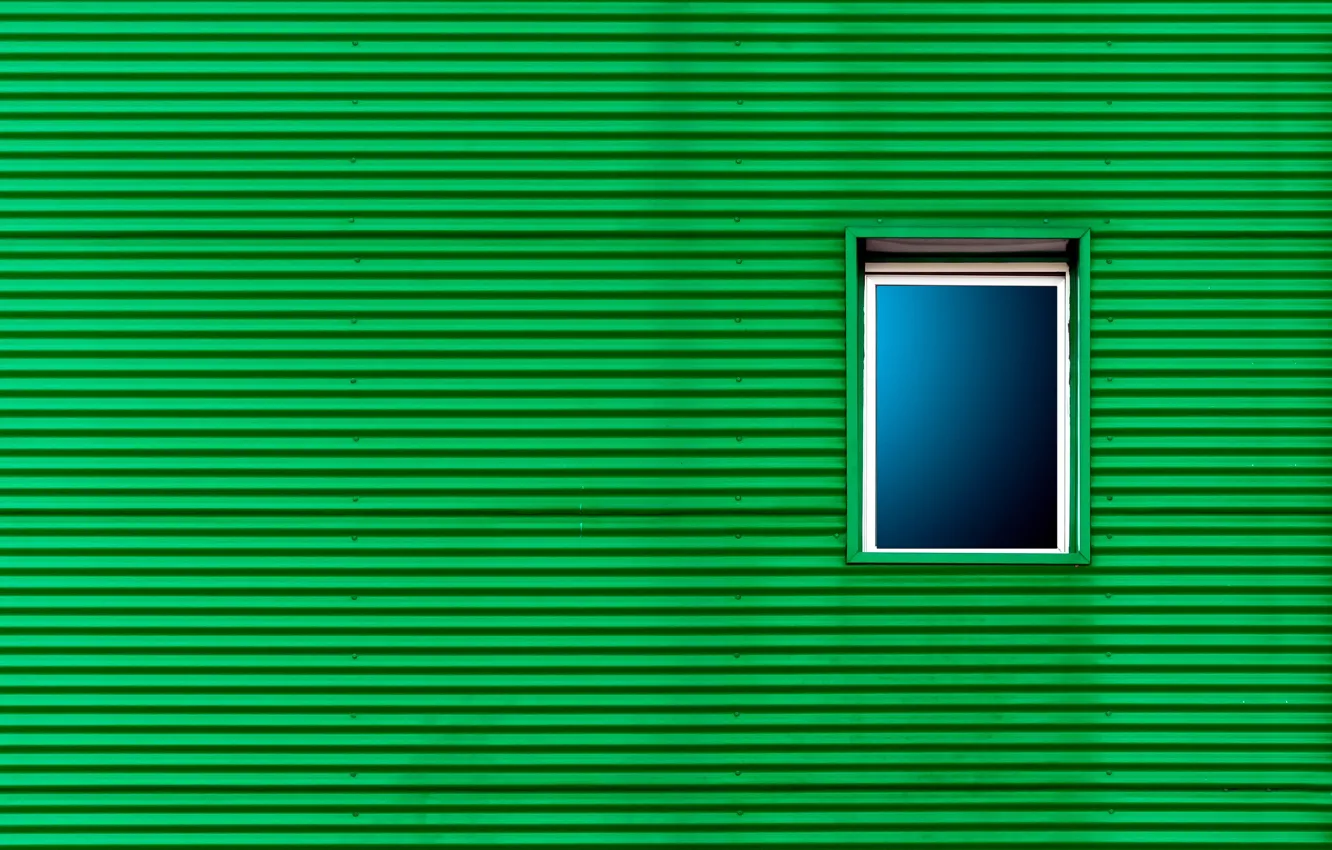 Photo wallpaper green, wall, window