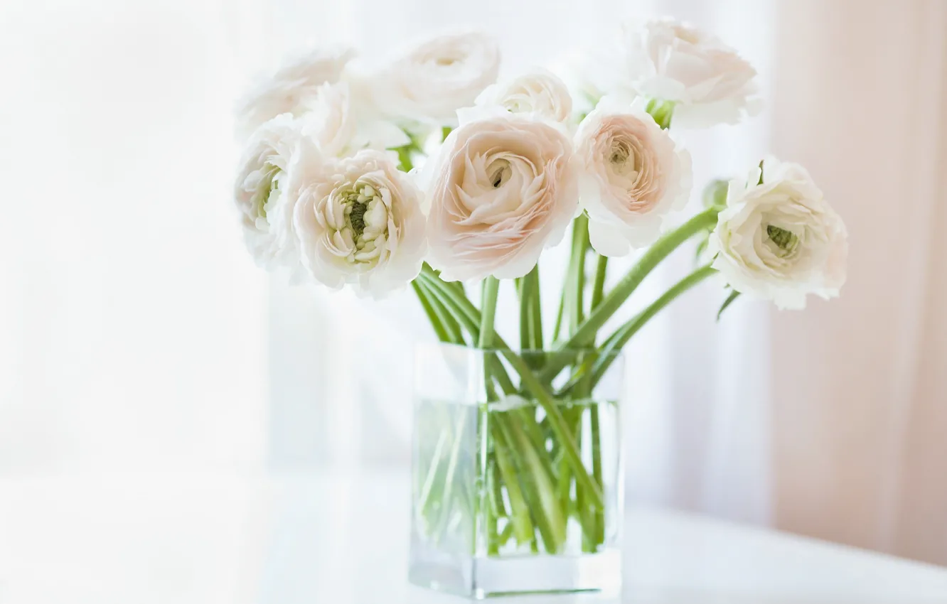 Photo wallpaper flowers, vase, white, buttercups, Ranunculus, Asian