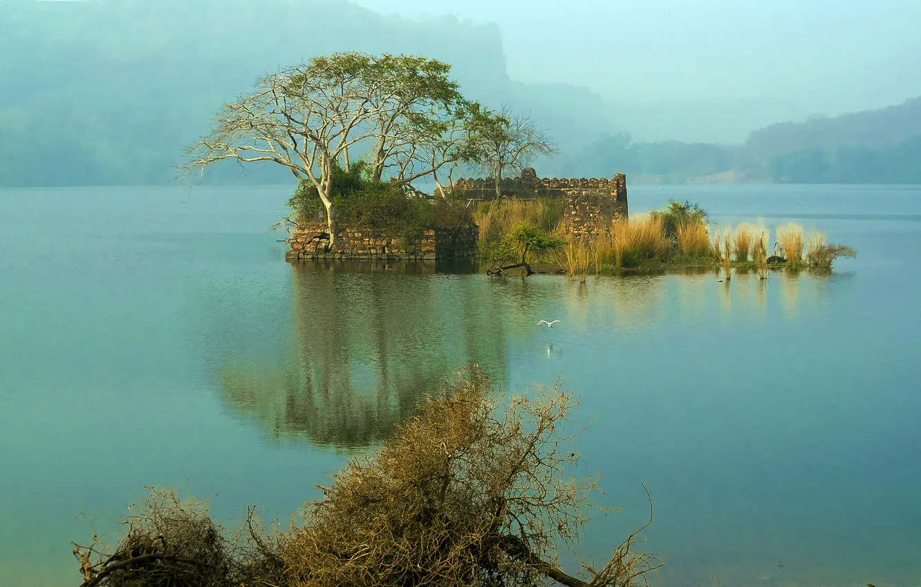 Photo wallpaper trees, mountains, fog, lake, island, haze, ruins